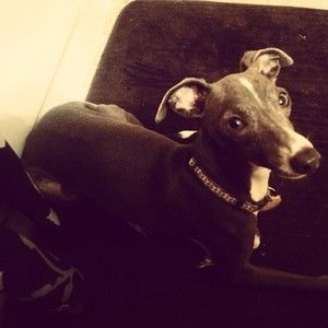 Meet your Posher, Angela